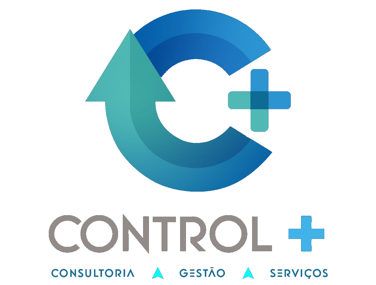 CtrlPlus Consultoria